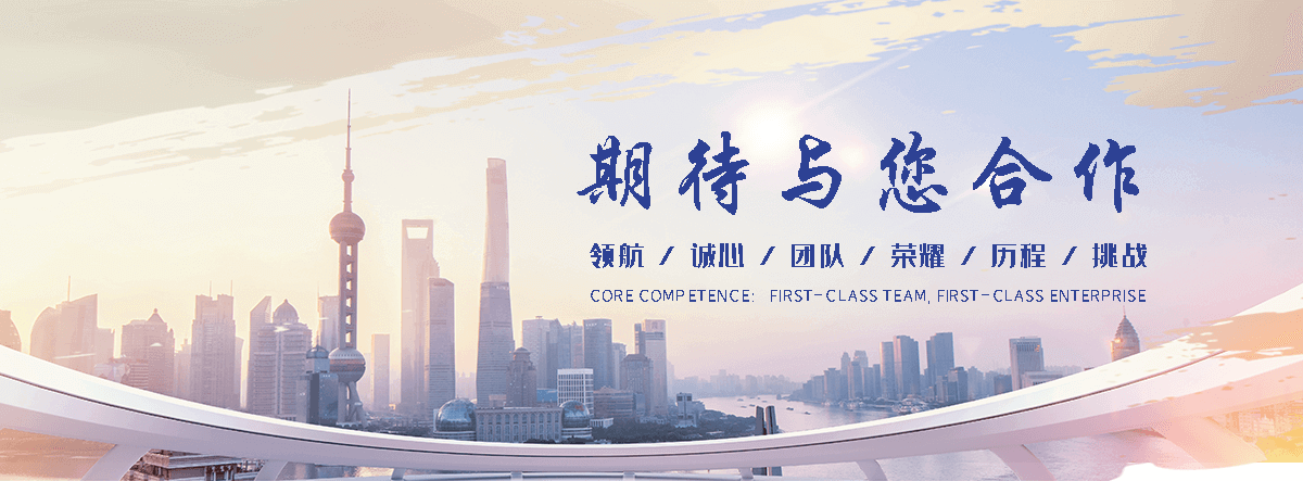 乌鲁木齐海狮租赁公司